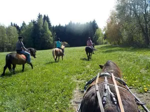 Jízda na koních
