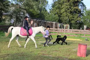 Činnosti na statku