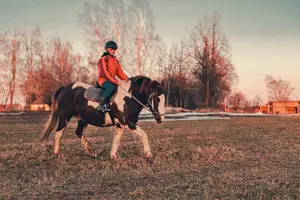 Činnosti na statku