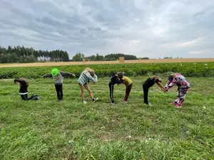 Činnosti na statku