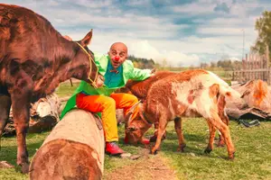 Ukázka focení na statku