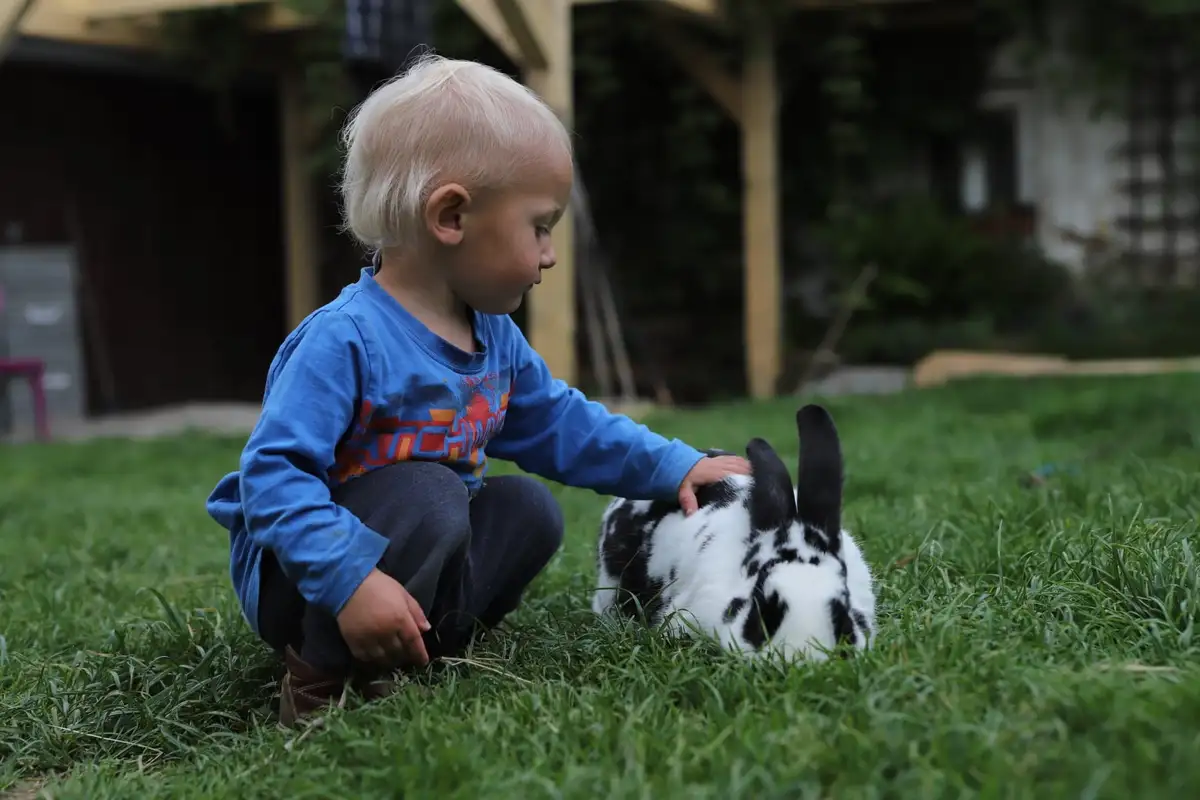 Chlapeček s králíkem na statku