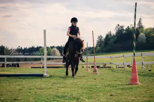 Dívka na poníkovi – parkur
