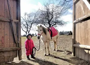 Malé dítě s bílým poníkem