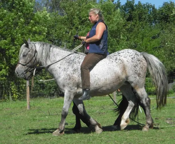 Jitka – generální trenérka Natural Horsemanship