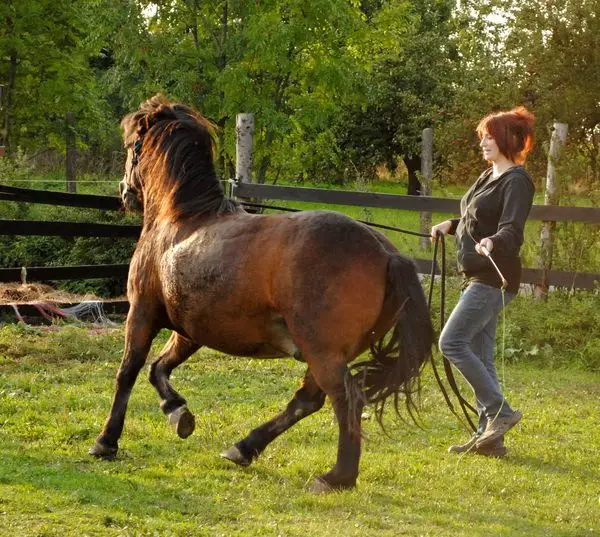 Štěpánka – trenérka Natural Horsemanship s koněm
