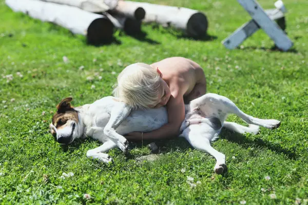 Boltimor – pes akrobat, umí spoustu triků, s chlapcem