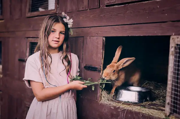 Dívka drží a krmí králíka na statku